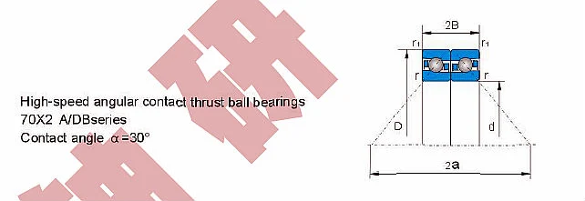 Double Direction Thrust Angular Contact Ball Bearing 234422/M