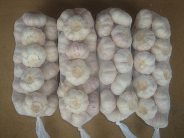 Different Package of Jinxiang Normal White Garlic