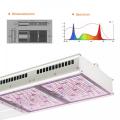 Panel de luz de cultivo horticultural LED para el crecimiento de las plantas