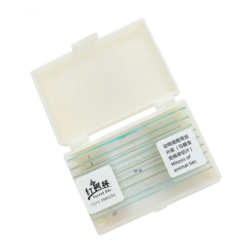 Microscope Slides: Uterus Transverse Section and Cell Mitosis in Zoology
