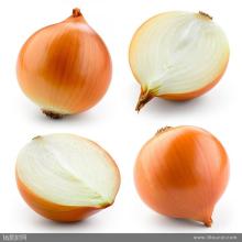 2020 New Onions Yellow Onions.