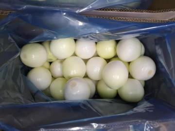 Peeled Gansu Yellow onion