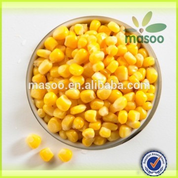 Wholesale cheap price canned sweet corn, 425 g