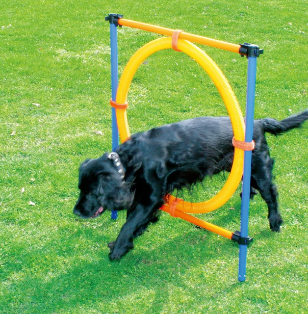 Dog Agility Exercise Training Equipment