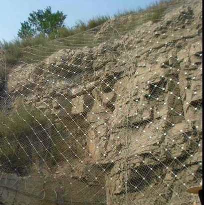 Côté pente protégeant Mesh Fence