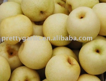 Chinese Golden Pears