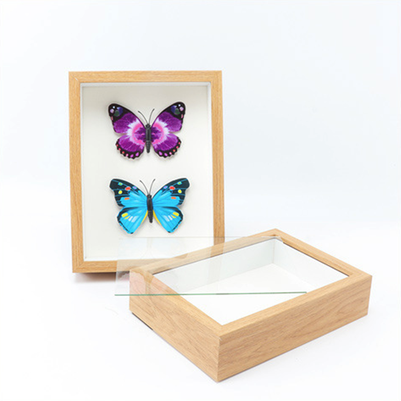 Butterfly Specimens Frame 3D Deep Glass A4 Shadow Box Photo Frames