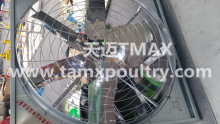 Poultry Farming System Wall Fans