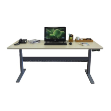 New Motorized Dual Motor Wood Study Electric Desk