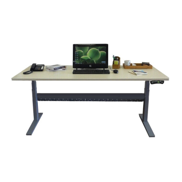 New Motorized Dual Motor Wood Study Electric Desk