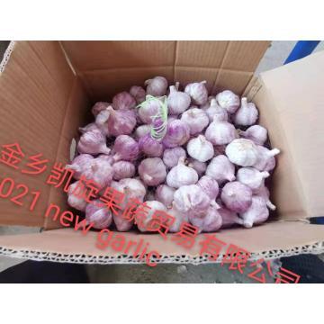 Good Normal White Garlic Packed In 10kg carton