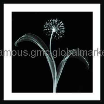 Decorative Pictures Wood Picture Frame