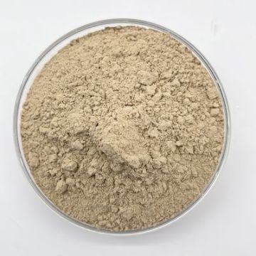 Aerobic Bacteria Powder BOD COD Ammonia Nitrogen Removal