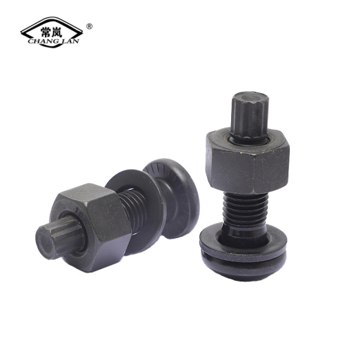 Torsional shear bolts of steel structure