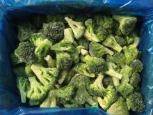 IQF Broccoli