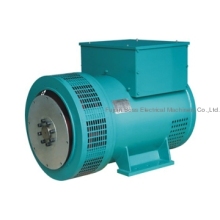 TFW Series Brushless Generator