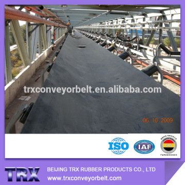 Acid and alkali resistant conveyor belt