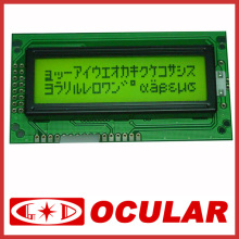 Programmable LCD Display