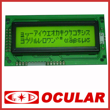 Programmable LCD Display