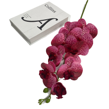 JH Factory Promotion Artificial Phalaenopsis Orchid 9-Head Tape Phalaenopsis