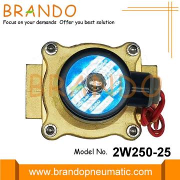 AC 220V 2W250-25 Watersolenoïde klep