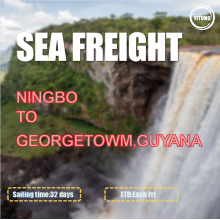 شحن المحيط من Ningbo إلى Georgetown Guyana