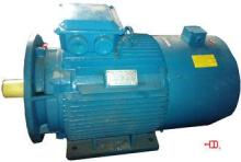 0.75KW 10HP / 20HP 6 Pole IMB35 / IM2001 SRI-2 Inverter Dut