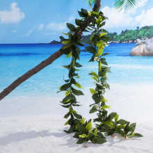 Handmade Classic Maile Leaves Open Lei for Hawaiian