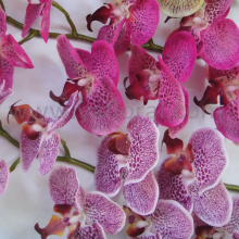 Factory directly artificial orchid flowers silk coated artificial orchid flowers artificial blue orchids