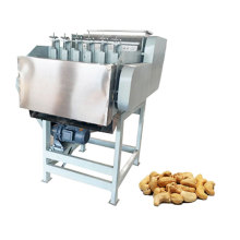 Raw Cashew Nut Shelling and Cracking Machine