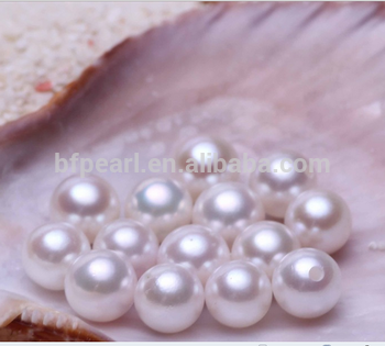 white round natural loose akoya pearl
