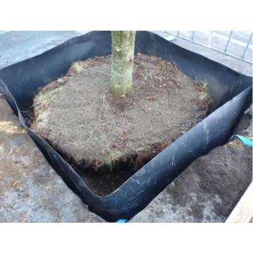 Protéger les arbres Barrière racinaires de la racine HDPE Géomembrane