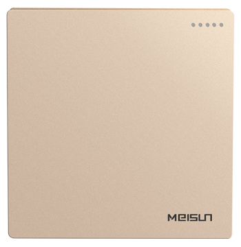 Champagne 16A one gang one way switch