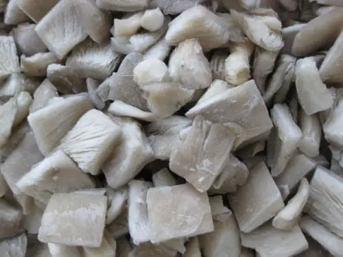 IQF Frozen Pleurotus Ostreatus Chinese Oyster Mushroom