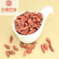 Wolfberry/Lycium Barbarum / Low Price goji berry