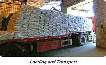 التحميل والنقل loading and transport