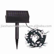 Solar Garden Decorative Light