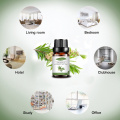 100% pure natural cajeput essentia oil therapeutil grade