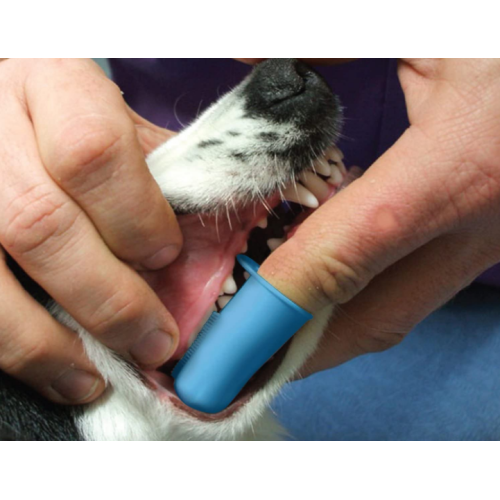 Cepillo de dientes de dedo de silicona de perro de gato gratis de BPA