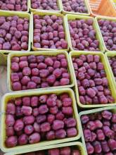 Sweet Juicy Chinese Red Fresh FUJI Apple bulk