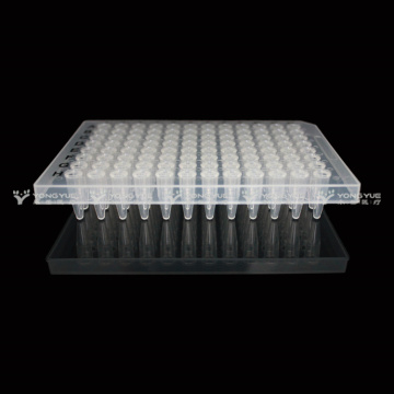 0.2ml 96 Placa PCR PLATES MEDIA FALDA TRANSPARENTE