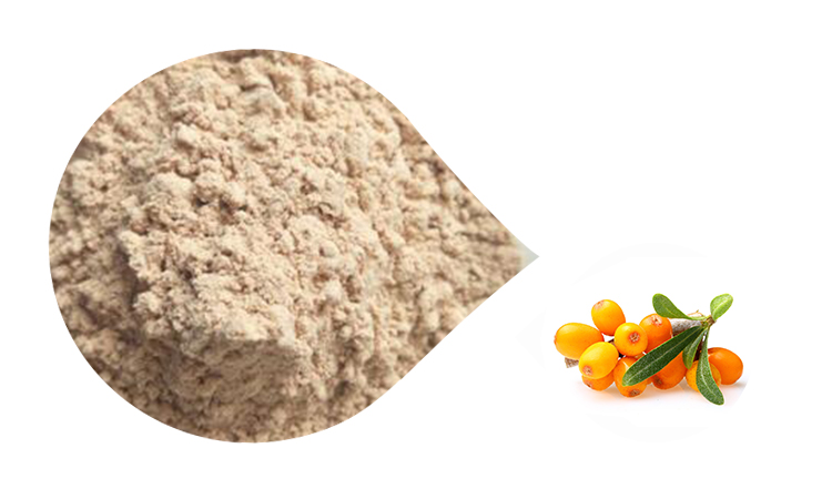 Click Factory Supply Sea Buckthorn Juice Powder Seabuckthorn Flavone Sea Buckthorn Extract Powder