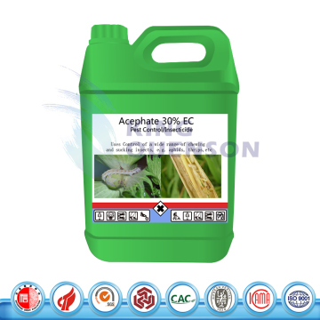 King Quenson Pest Control Systemic Insecticide Acephate 75% Sp