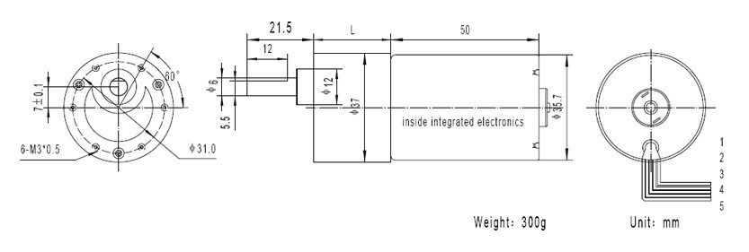 12v high speed bldc motor GM37-TEC3650 long life brushless dc motor