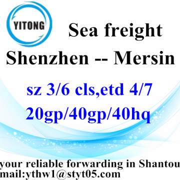 Shenzhen Container Shipping Service to Mersin