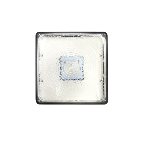 Modern Stylish IP65 While LED Canopy Light