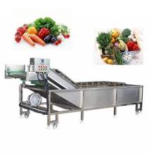 Fruit Juice Processing Plant Chilli Nut Shrimp Washer Equipment