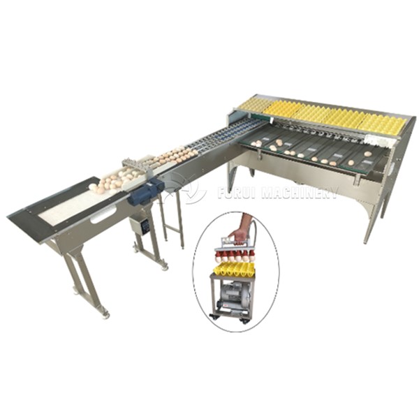 Chicken farm used inkjet egg printing machine/egg coding machine/egg date printing equipment