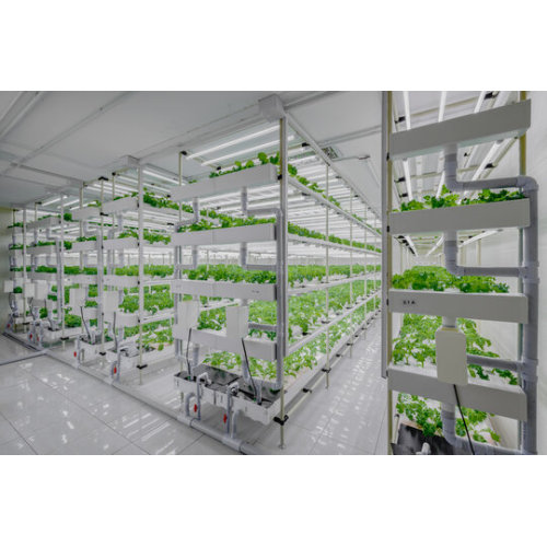SkyPlant Smart Grow Scaffali/Racconciature/Panchine rotolanti con funzioni di sollevamento e ventilazione per l&#39;agricoltura verticale interna