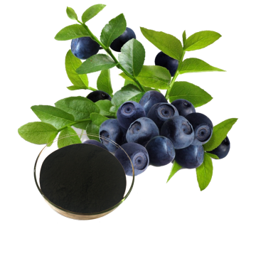 Bilberry Extract 25% anthocyanidins